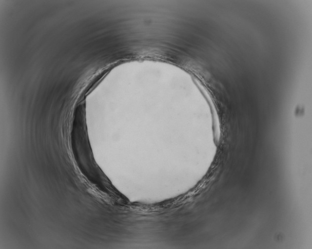 X0000097630241200803281107