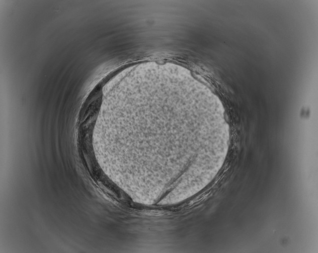 X0000097630242200803281107