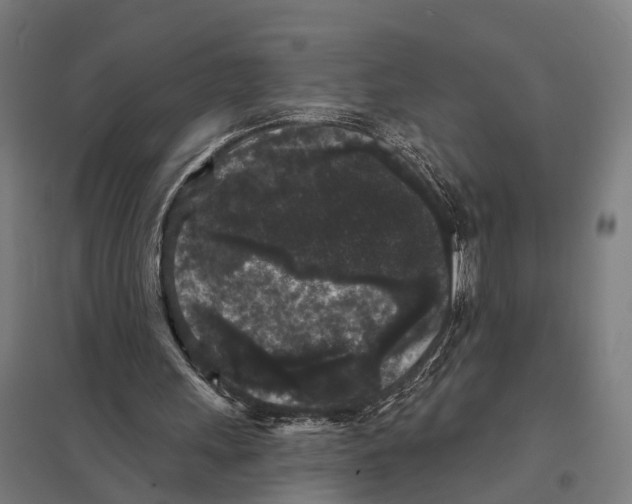 X0000097630243200803281107