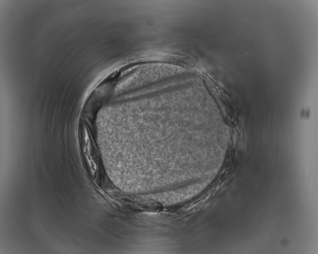 X0000097630244200803281107