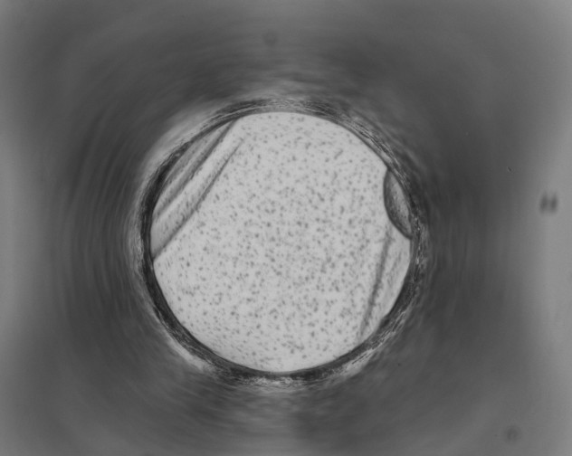 X0000097630245200803281107