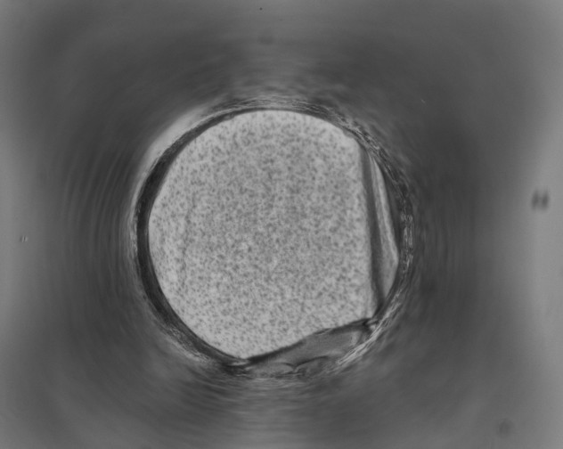 X0000097630246200803281107