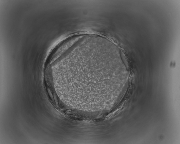 X0000097630248200803281107