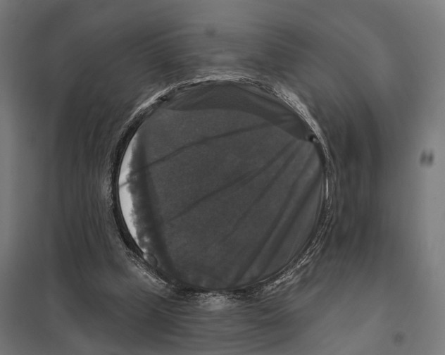 X0000097630249200803281107