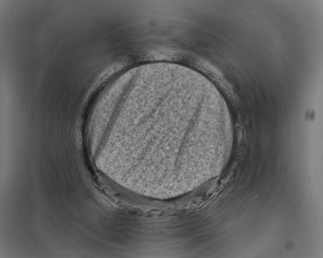 X0000097630250200803281107