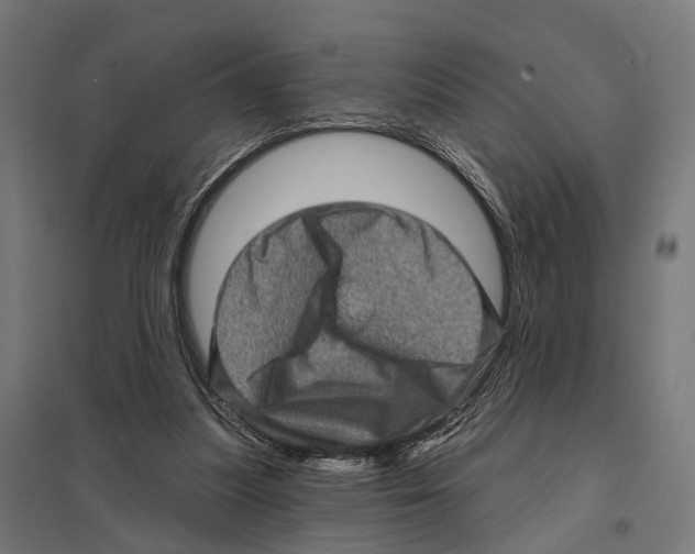 X0000097630251200803281107