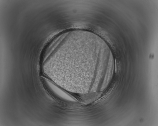 X0000097630252200803281107