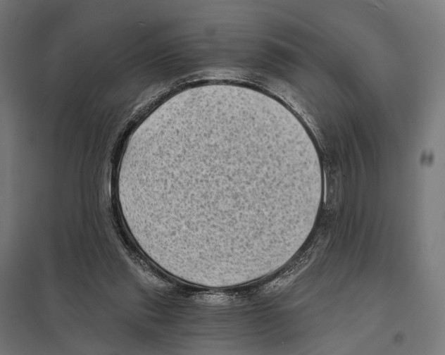 X0000097630253200803281107