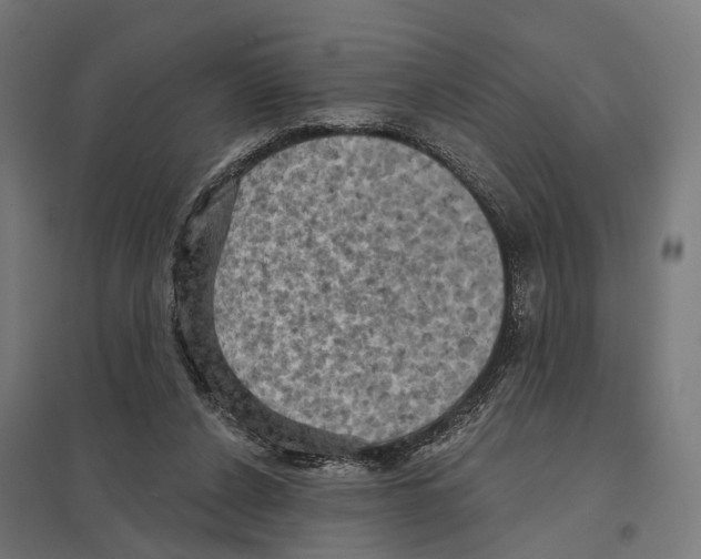 X0000097630256200803281107