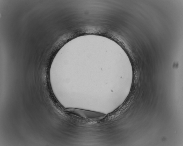 X0000097630257200803281107