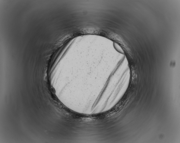 X0000097630259200803281107