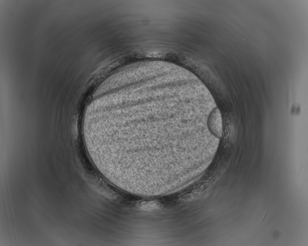 X0000097630262200803281107