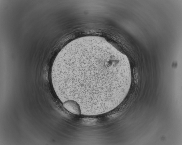 X0000097630266200803281107
