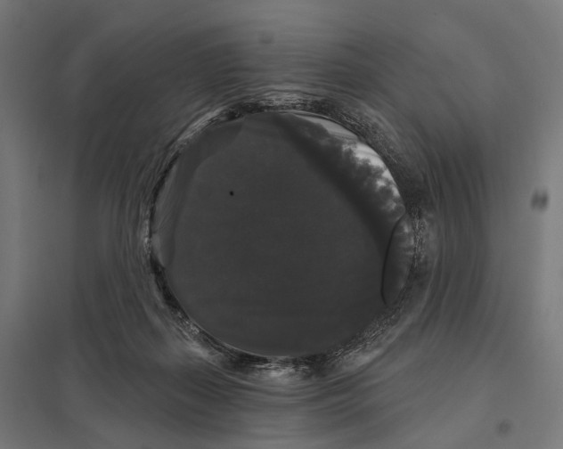 X0000097630267200803281107