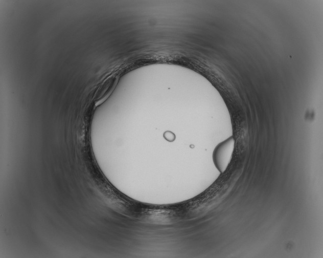 X0000097630268200803281107
