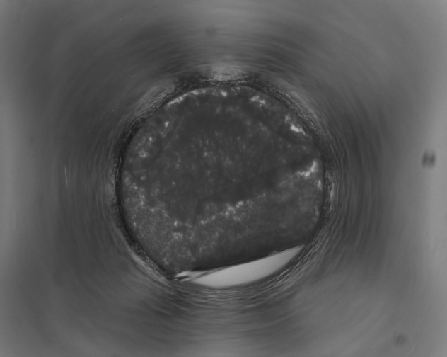 X0000097630269200803281107