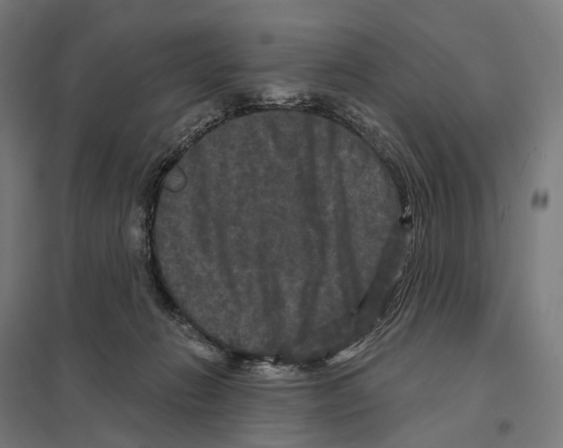 X0000097630270200803281107