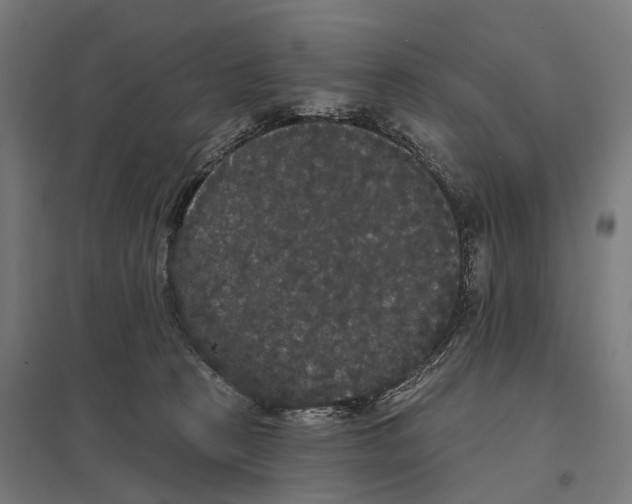 X0000097630273200803281107
