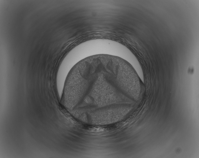 X0000097630276200803281108