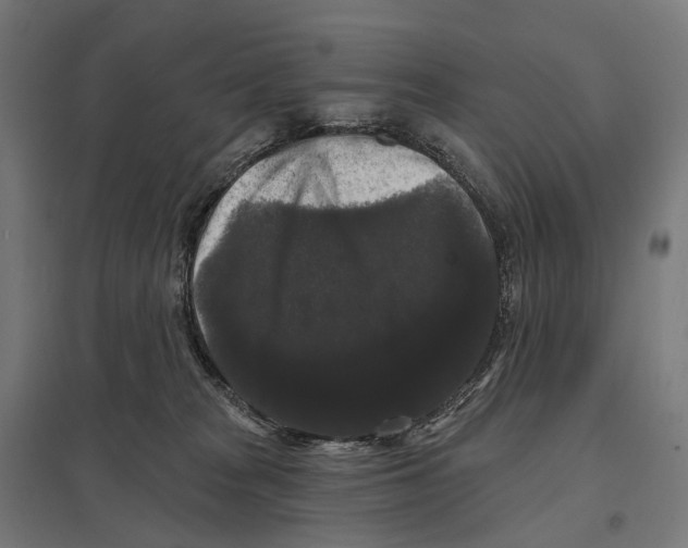 X0000097630277200803281108