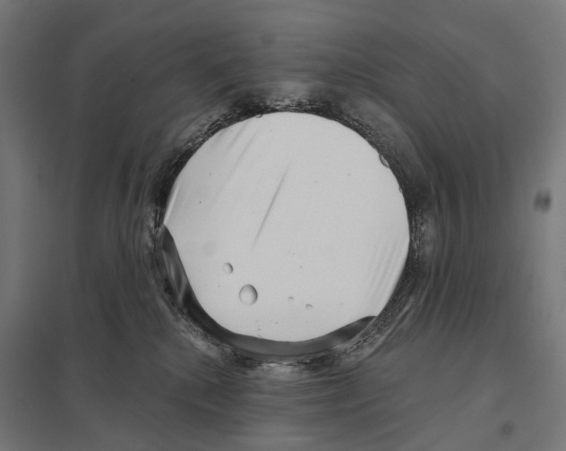 X0000097630280200803281108