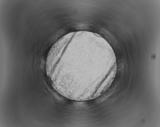 X0000097630281200803281108