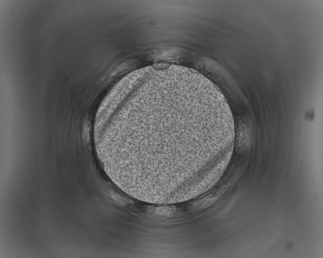 X0000097630282200803281108