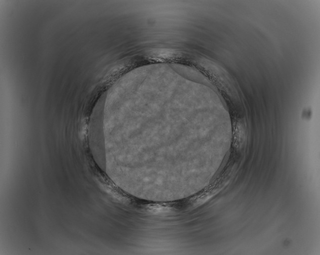 X0000097630284200803281108