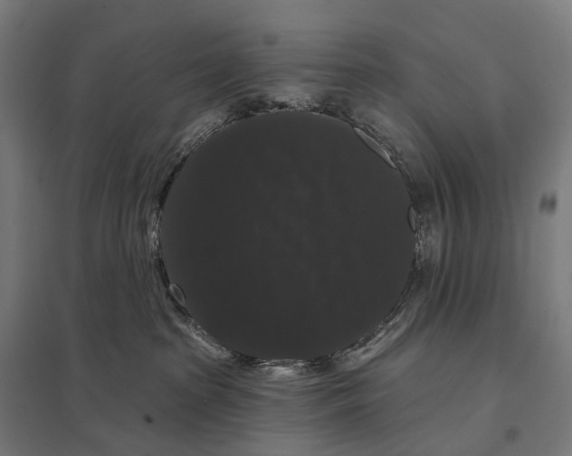 X0000097630285200803281108