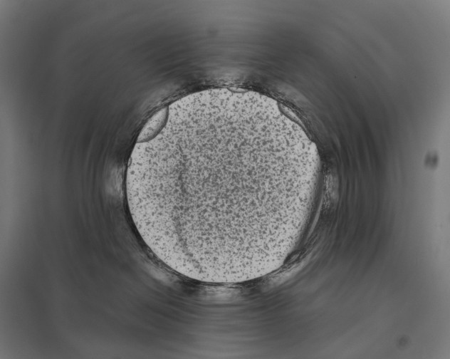 X0000097630286200803281108