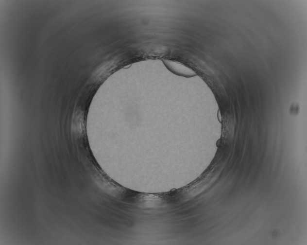 X0000097630287200803281108