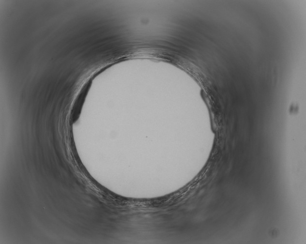 X0000097630289200803281107
