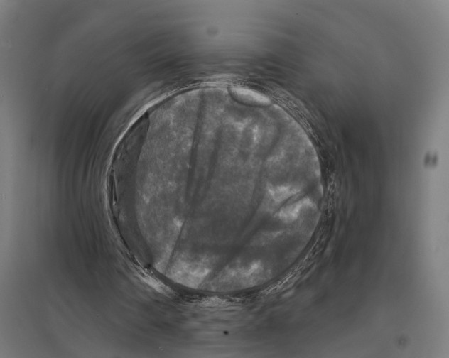 X0000097630290200803281107