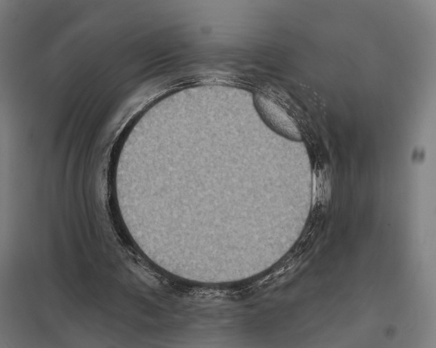 X0000097630291200803281107