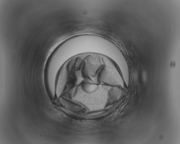 X0000097630292200803281107