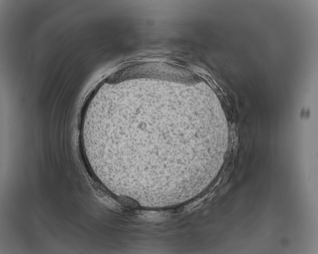 X0000097630293200803281107