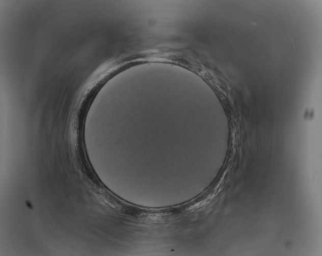 X0000097630295200803281107