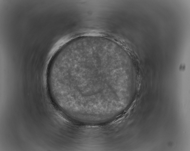 X0000097630296200803281107