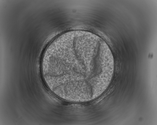 X0000097630298200803281107