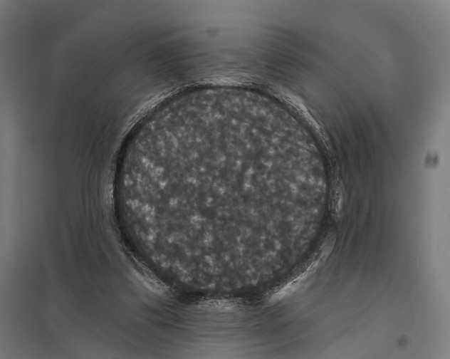 X0000097630299200803281107