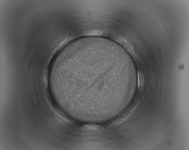 X0000097630300200803281107