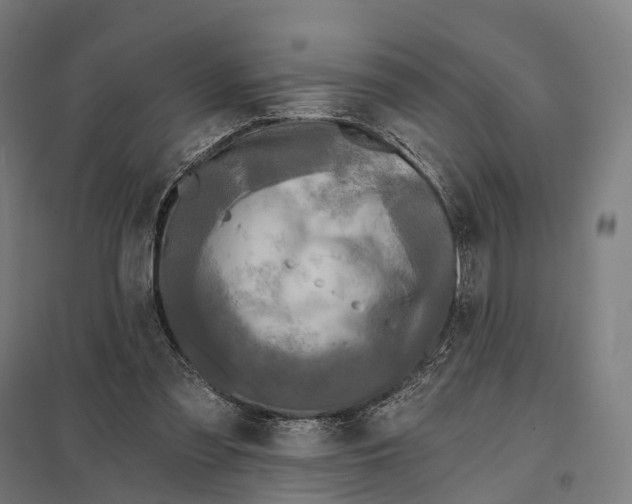 X0000097630301200803281107