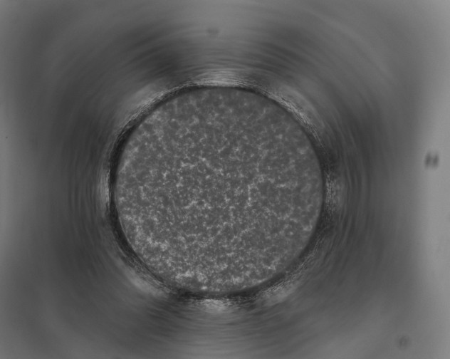 X0000097630302200803281107