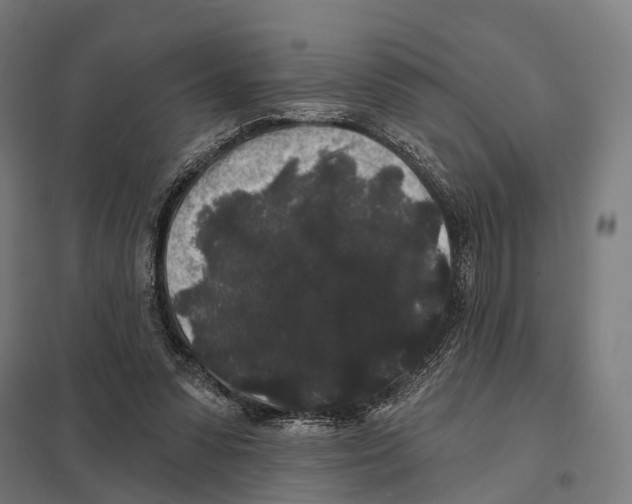 X0000097630303200803281107