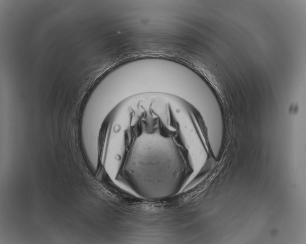 X0000097630305200803281106