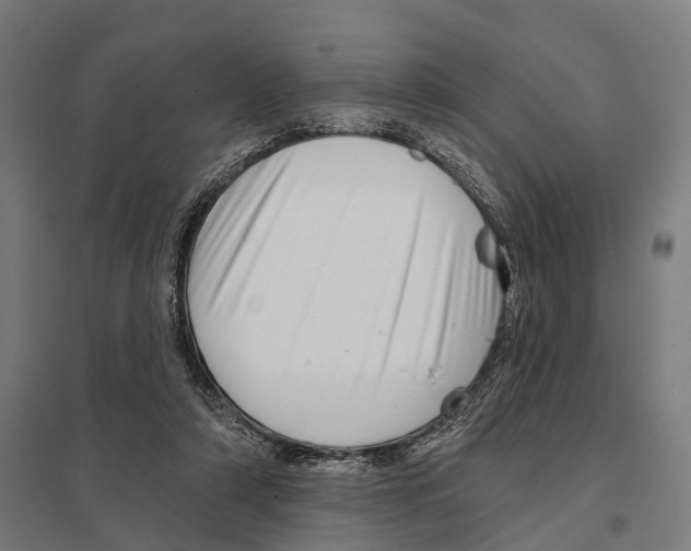 X0000097630306200803281106