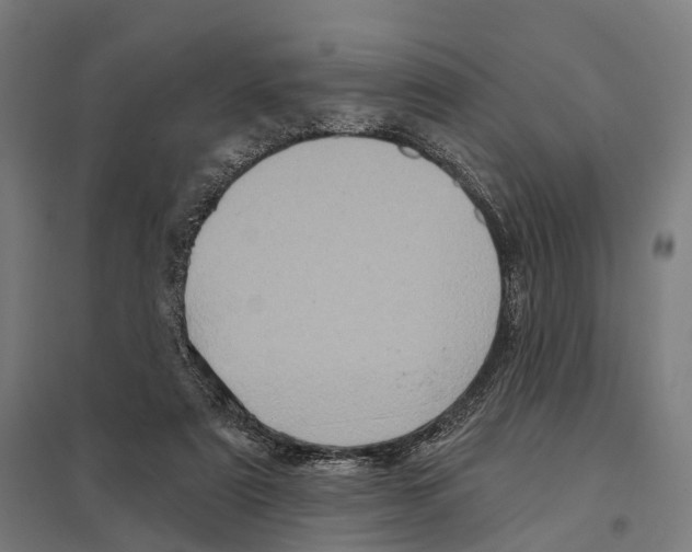 X0000097630307200803281106