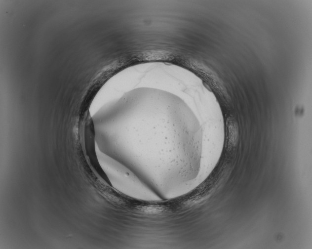 X0000097630308200803281106