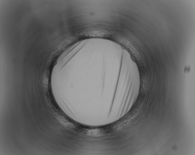 X0000097630309200803281106