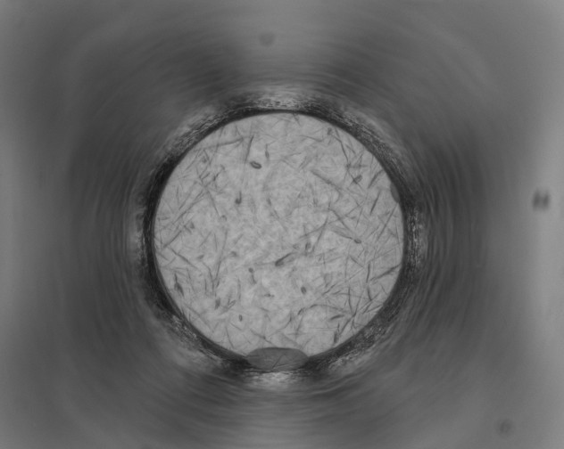 X0000097630312200803281106